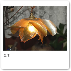 �Ԃ̃����v�V�F�[�h